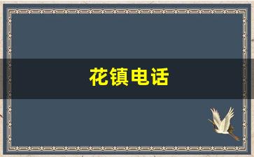 花镇电话