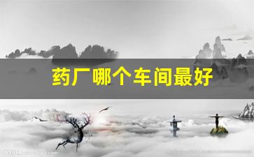 药厂哪个车间最好
