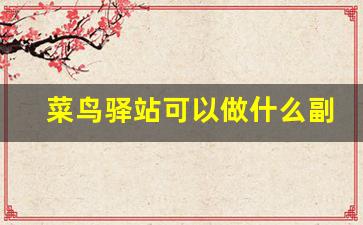 菜鸟驿站可以做什么副业_菜鸟驿站最佳副业