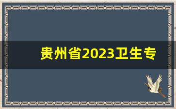 贵州省2023卫生专业技术考试