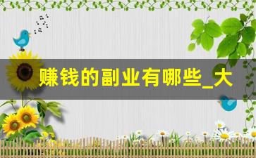 赚钱的副业有哪些_大学生怎样兼职赚钱