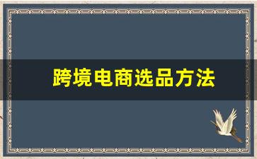 跨境电商选品方法