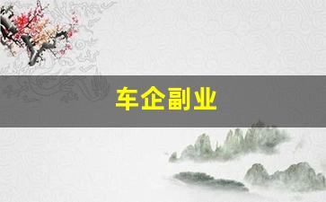 车企副业
