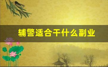 辅警适合干什么副业