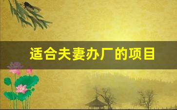 适合夫妻办厂的项目