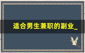 适合男生兼职的副业_晚上9点到12点的兼职