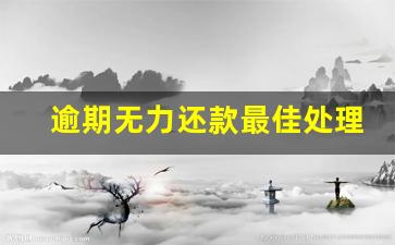 逾期无力还款最佳处理方法