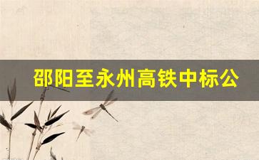 邵阳至永州高铁中标公示