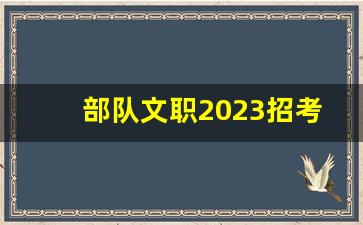部队文职2023招考岗位条件