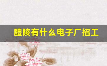 醴陵有什么电子厂招工