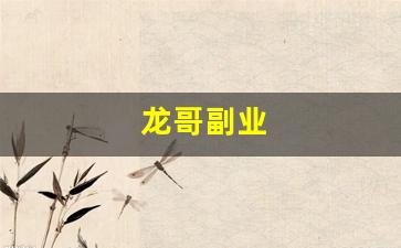 龙哥副业