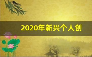 2020年新兴个人创业