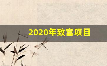 2020年致富项目