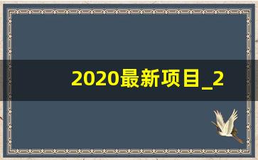 2020最新项目_2020投资项目趋势