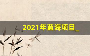 2021年蓝海项目_2021年开通的铁路