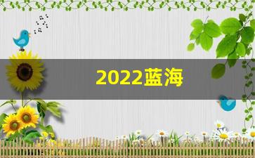 2022蓝海