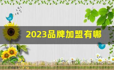 2023品牌加盟有哪些