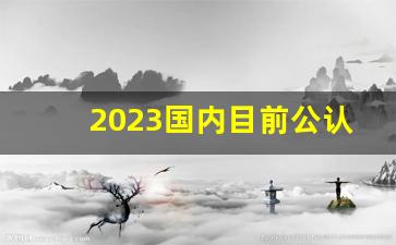 2023国内目前公认最快的DNS