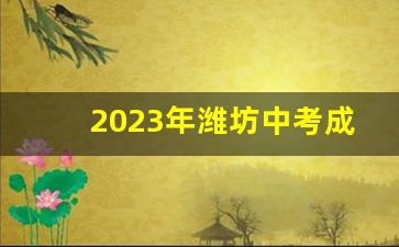 2023年潍坊中考成绩查询网站_往届中考成绩查询