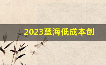 2023蓝海低成本创业_十大暴利灰色行业