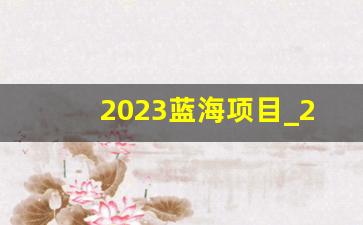 2023蓝海项目_2023蓝海低成本创业