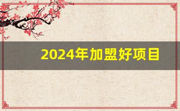 2024年加盟好项目