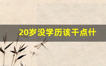 20岁没学历该干点什么