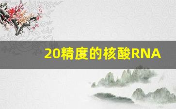 20精度的核酸RNA多久能排除_核酸20精度是什么概念