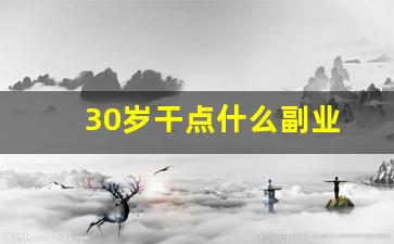 30岁干点什么副业