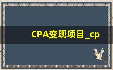CPA变现项目_cpa赚钱