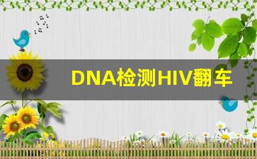 DNA检测HIV翻车_我想找个艾滋病的交流群