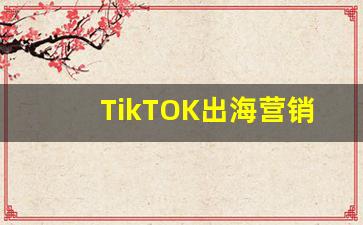 TikTOK出海营销峰会