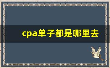 cpa单子都是哪里去接的