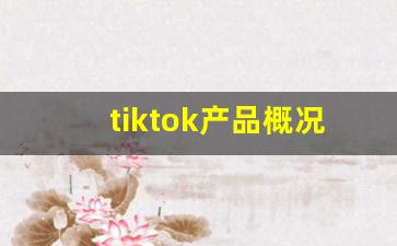 tiktok产品概况_tiktok功能特色