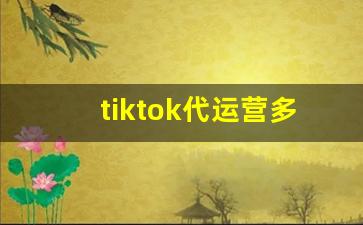 tiktok代运营多少钱_tiktok用户