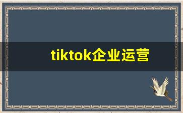 tiktok企业运营