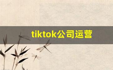 tiktok公司运营