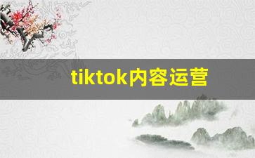 tiktok内容运营的