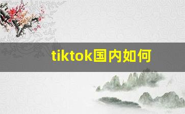 tiktok国内如何运营_tiktok成功