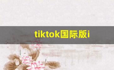 tiktok国际版ios安装包_色板tiktok破解