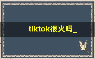 tiktok很火吗_tiktok控制权在谁手里