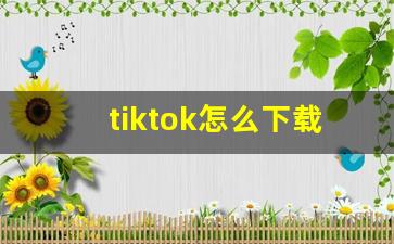 tiktok怎么下载到国内_tiktok吧