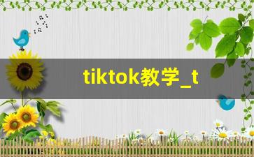 tiktok教学_tiktok用什么加速器