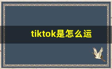 tiktok是怎么运营的_国内如何上tiktok