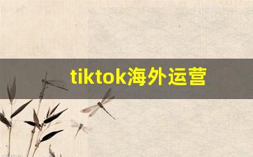 tiktok海外运营怎么样_tiktok成功