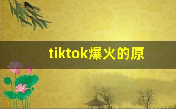 tiktok爆火的原因_tiktok很火吗