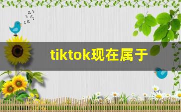 tiktok现在属于谁