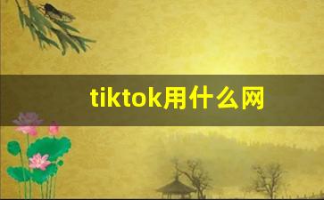 tiktok用什么网络才能看_tiktok下载之后看不了怎么办