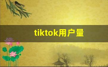 tiktok用户量