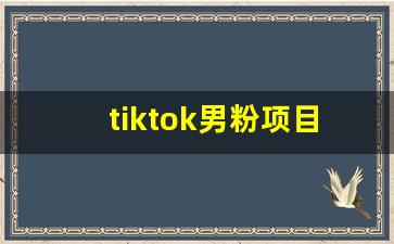 tiktok男粉项目